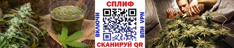 Canna-Cookies конопля  где продают наркотики  Полярный 