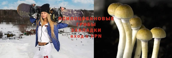 твердый Алзамай