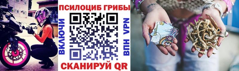 Псилоцибиновые грибы Psilocybine cubensis  blacksprut ссылки  Полярный 