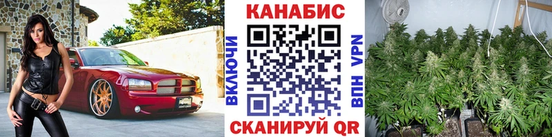 МАРИХУАНА MAZAR  купить   Полярный 